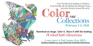 Color Our Collections social media graphic