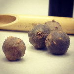 Oak gall nuts used for making iron gall ink.
