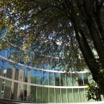 Photo of Library windows & tree