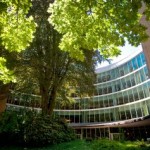 tree in front of library