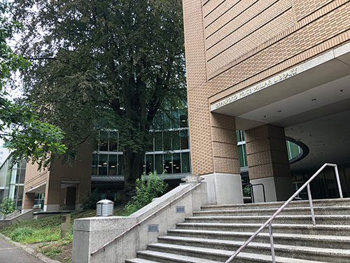 PSU Library Exterior Entry Steps and Beech Tree